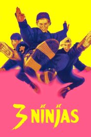 Ninja Kids : Les 3 Ninjas (1992)