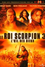 Le Roi Scorpion 3 : L’Œil des dieux (2012)