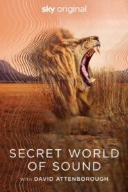 Le monde secret du son avec David Attenborough Saison 1